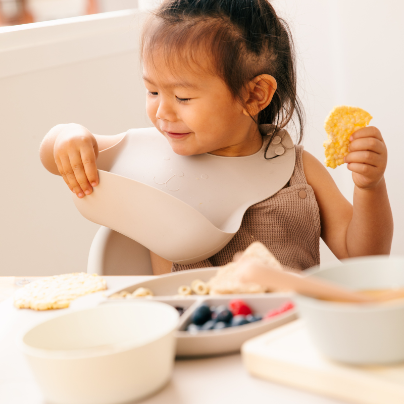 6 piece Meal Set